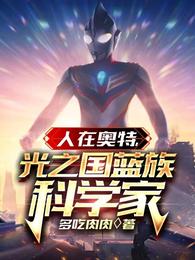 人在光之国:师从奥特之王