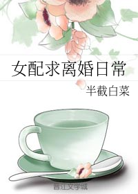 女配求离婚日常完整