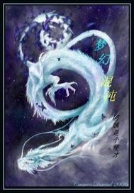 梦幻混沌兽套好还是定心套好