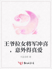 王爷娶女将军的古言小说