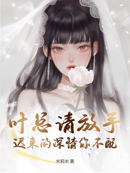 叶总离婚请别怂大结局