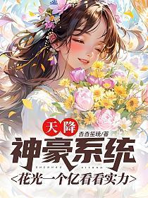 神豪天降无限花钱系统