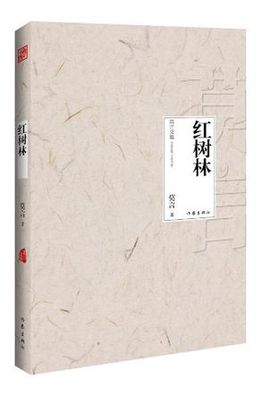 红树林未来社区规划