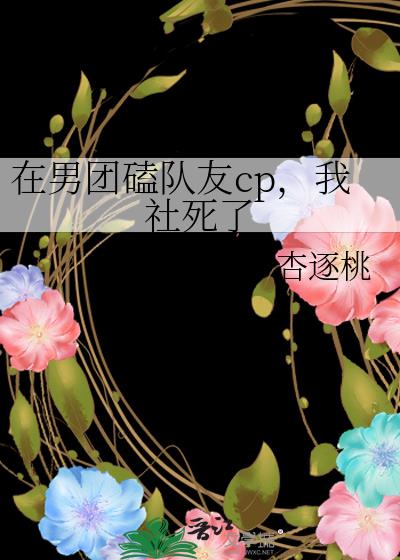 《我在男团那些年[娱乐圈